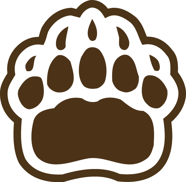 Brown Bears 1997-Pres Secondary Logo v2 iron on transfers for clothing